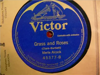 small_victor 45377 b.webp